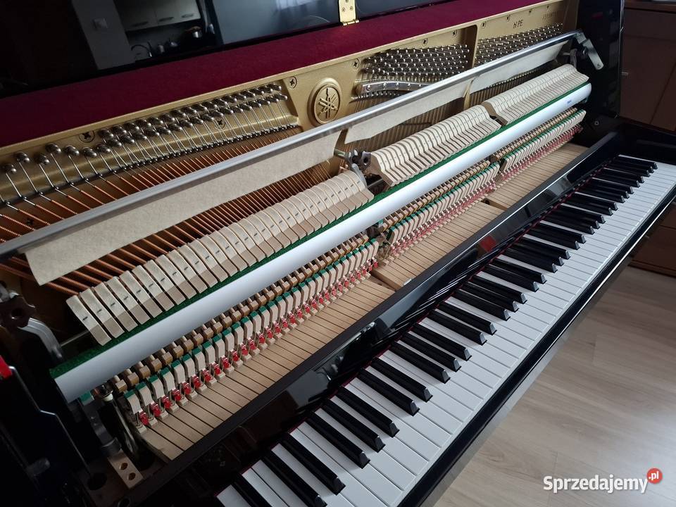Pianino Yamaha model B1 PE stan Nowe Gwarancja Instrumenty klawiszowe i MIDI Brzesko