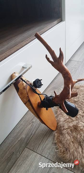 Stara lampa na korzeniu śląskie