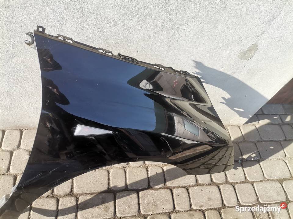 RENAULT ESPACE IV BŁOTNIK PRAWY PRZÓD NV676 Nowy Sącz