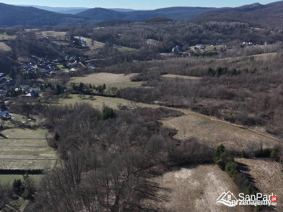 Sprzedam grunt Dębna 5900m2 5900m2 Sprzedaż