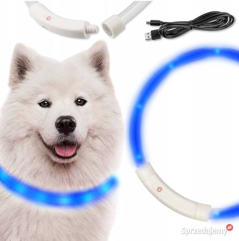 OBROŻA ŚWIECĄCA LED PSA I KOTA REGULACJA 70 Toruń