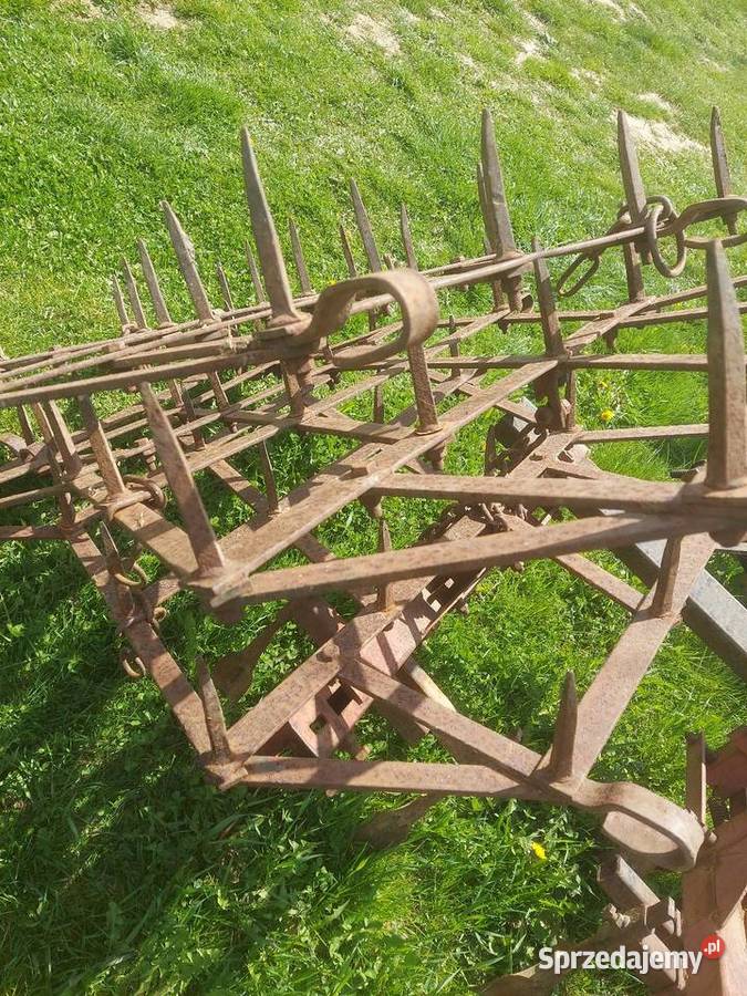 Brony Unia grudziądz 3 polowe