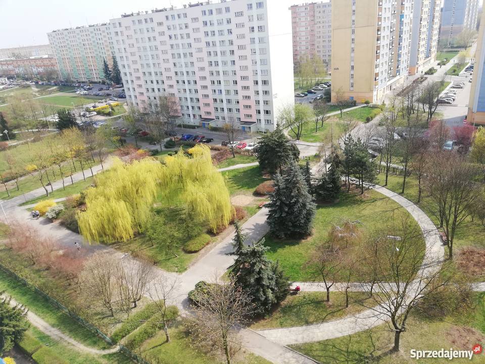 Dwa pokoje 4242mkw Retkinia Botanik balkon łódzkie