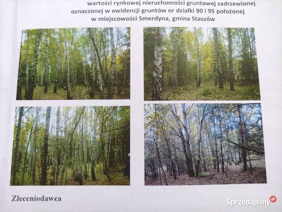 Sprzedam nieruchomości gruntowe zadrzewione Smerdyna