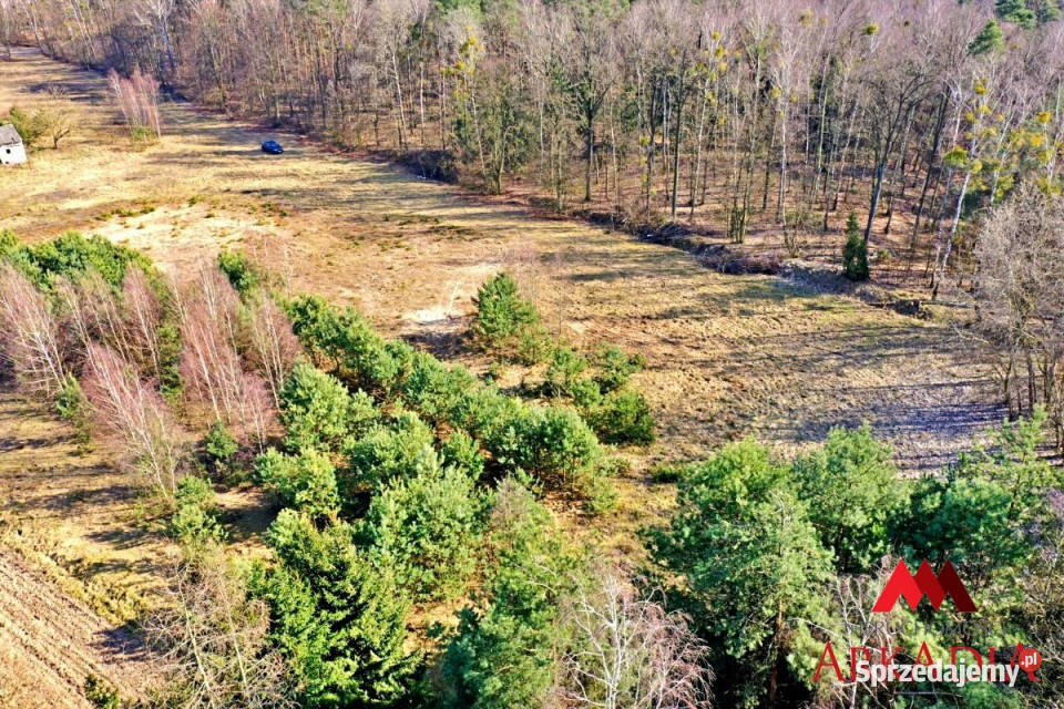 sprzedaży działki 1678m2 Czerskie Rumunki