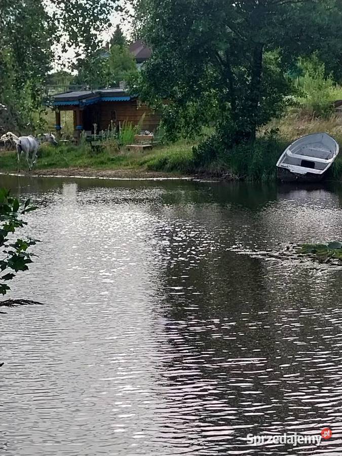 Sprzedam siedlisko rzeką Wręczyca Mała