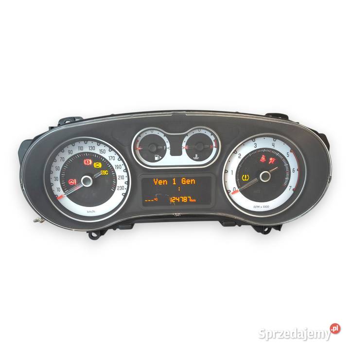 LICZNIK ZEGARY 52056256 Fiat 500L 09 TWINAIR 14 osobowe Chełm