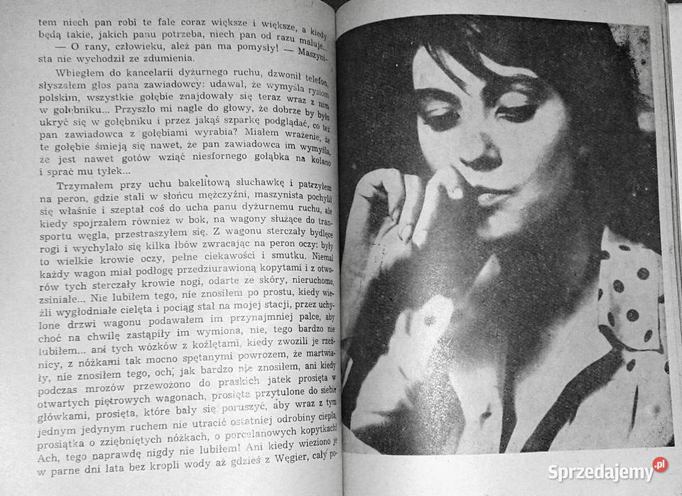 Pociągi pod specjalnym nadzorem Bohumil Hrabal