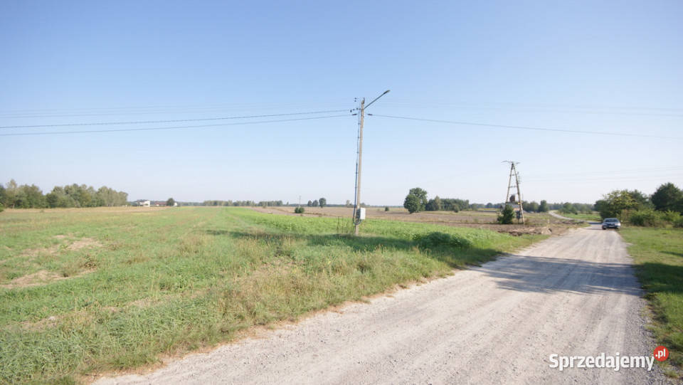 Działka rolno budowlana 96a Rudka Gołębska Sprzedaż
