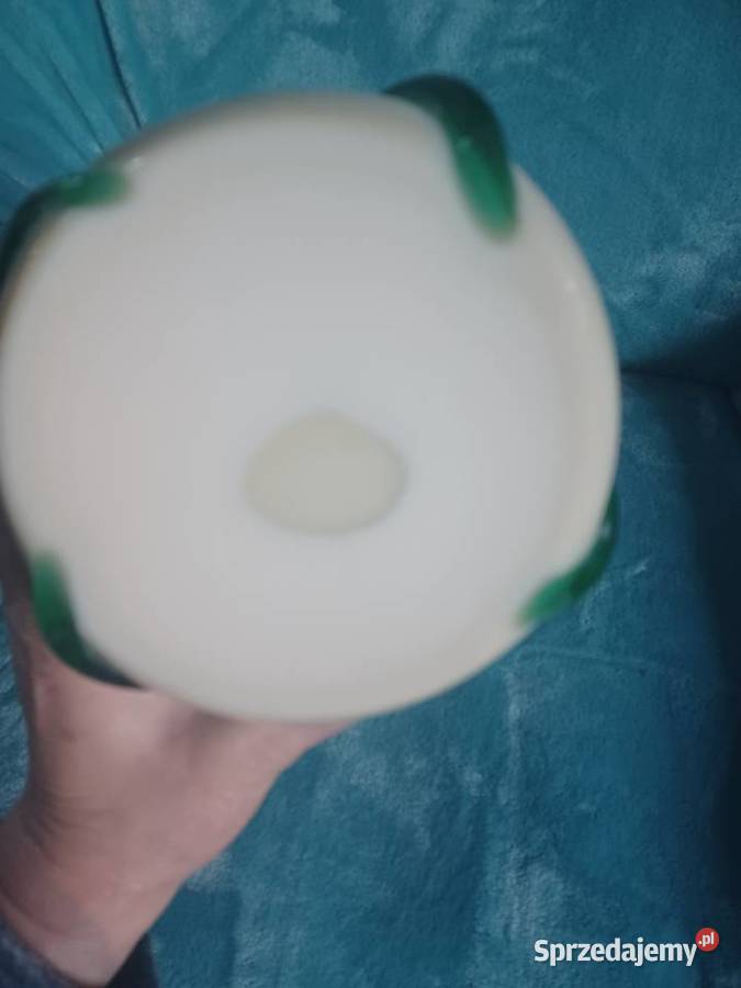 Wazon z oplotem Ząbkowice Drost Łódź