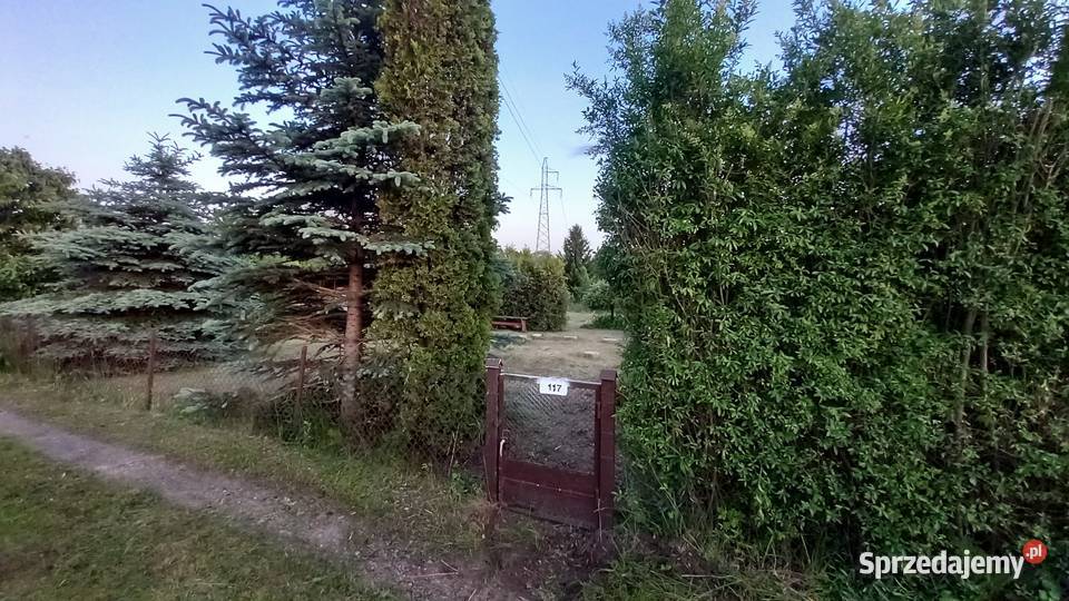 Działka rekreacyjna ROD Słonecznik 300m2 Sprzedaż Nieruchomości Myki