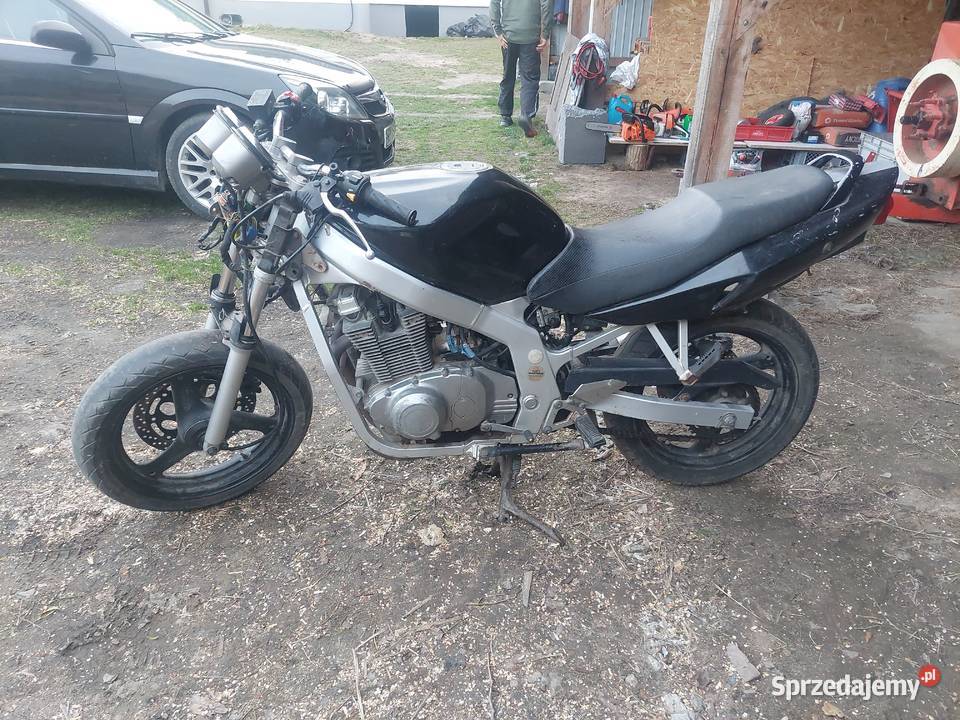 Suzuki Gs500 2003 Magnuszew
