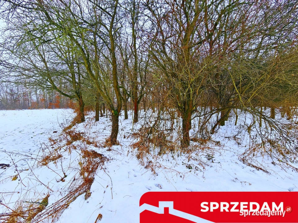 Drewniany dom z dużą działką pole sad las Karczmiska Pierwsze sprzedam