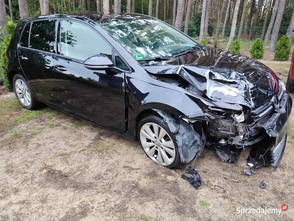 Volkswagen Golf VII 2019r 16TDI 116 Navi Pełna Turek
