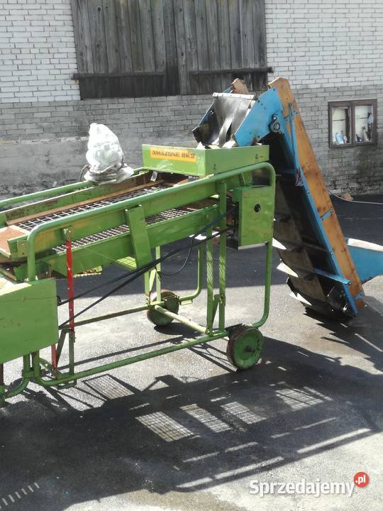 sortownik ziemniaków Amazone bk3 amazone Trzyciąż