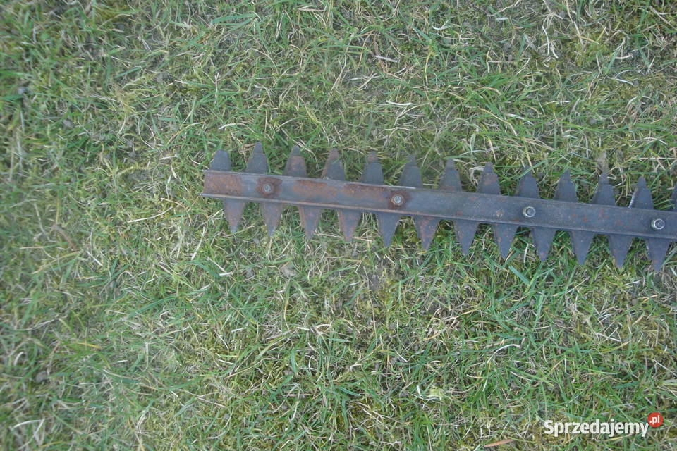 Elektryczne nożyce do żywopłotu Podolszyn