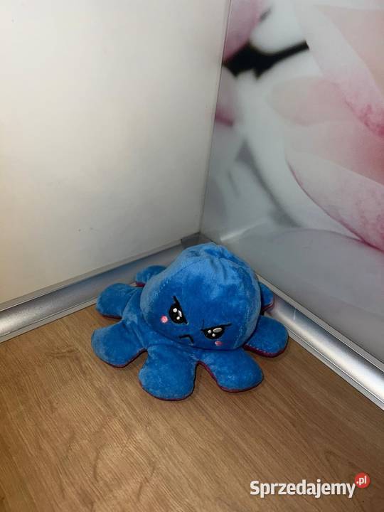 Urocza ośmiorniczka z zmiennym humorem Pozostałe Gdańsk