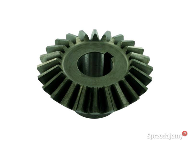 Koło zębate Z24 VGTF262 Olsztyn