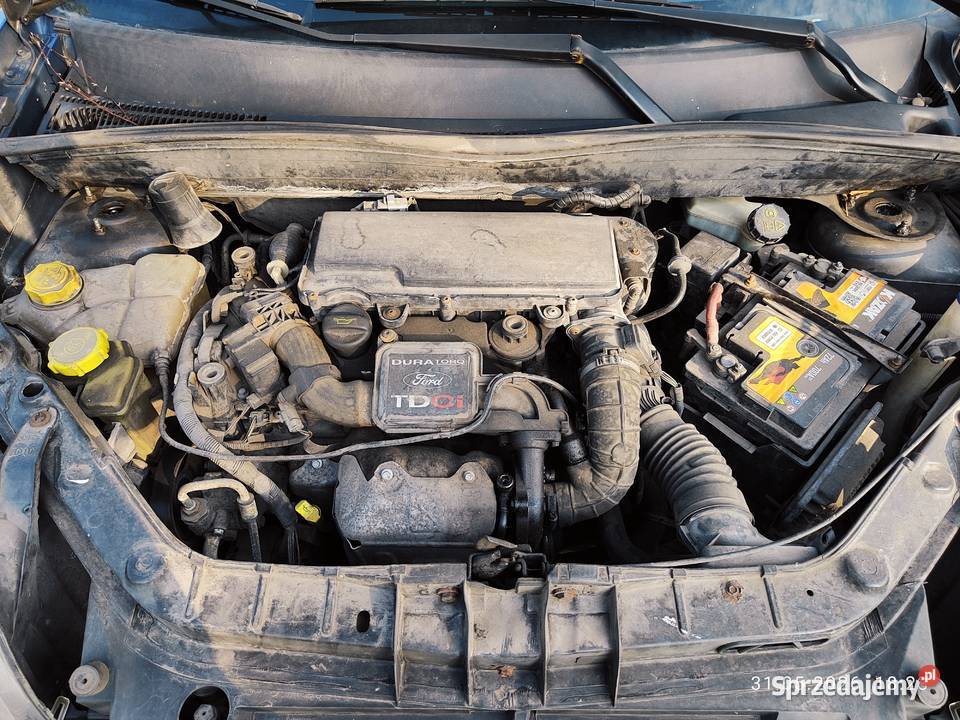 Ford Fusion 14TDCi 2009 krajowy bezwypadkowy 68KM
