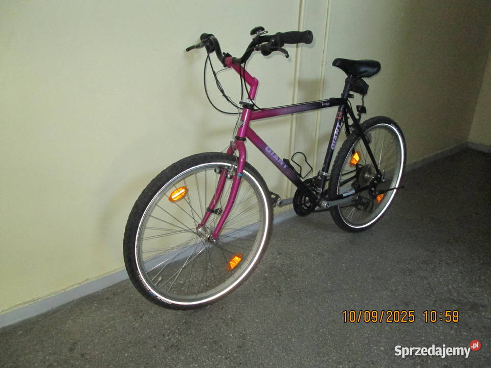 Giant Terrago dolnośląskie