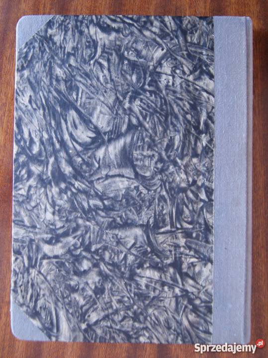 Jerzy E Płomieński W kręgu polskiej irredenty Parczew