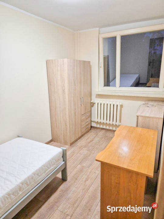 2pokojowe mieszkanie na wynajem cegła Opole