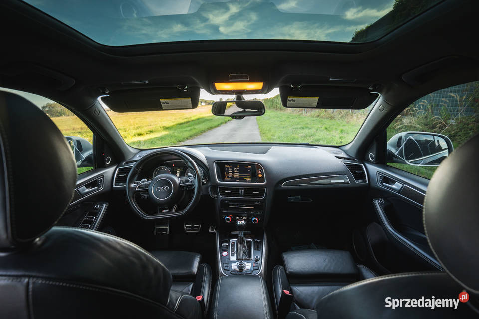 Audi SQ5 30 V6T Premium Plus Piekoszów