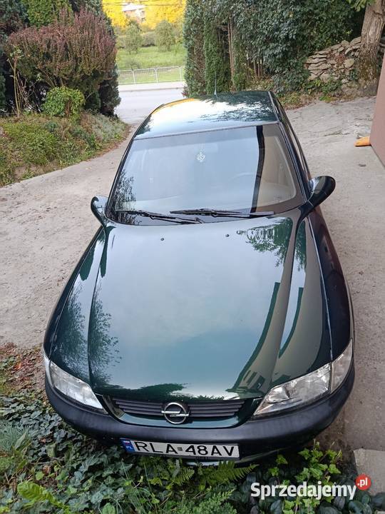 Opel Vectra b 18 Vectra