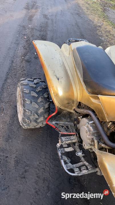 Bashan 200 ciecz zamiana Rąbino