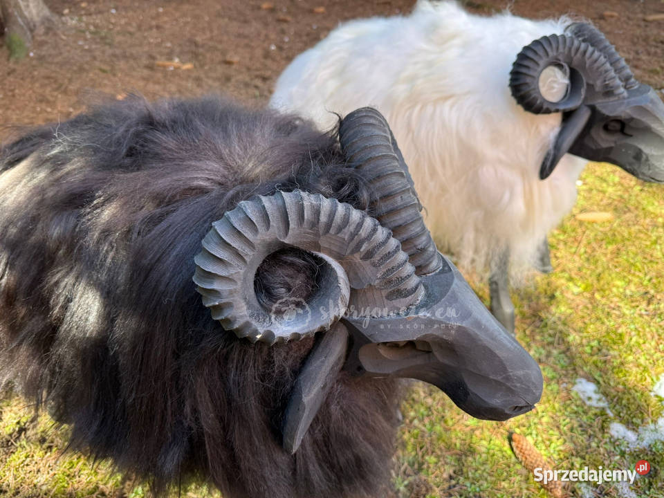 Baran dekoracyjny drewniany ze skóry owczej Figurki i rzeźby