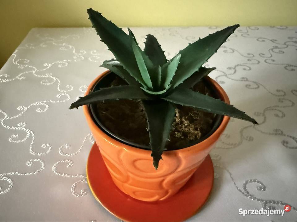 Osłonka Na Donicę Doniczka Donica ze Sztucznym Czerwionka-Leszczyny