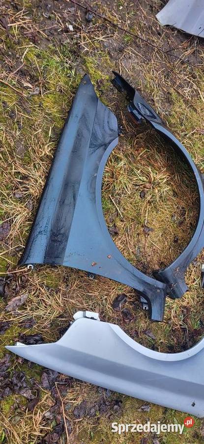 Błotnik Lewy Prawy Renault Laguna 2 ładny stan osobowe Żabno