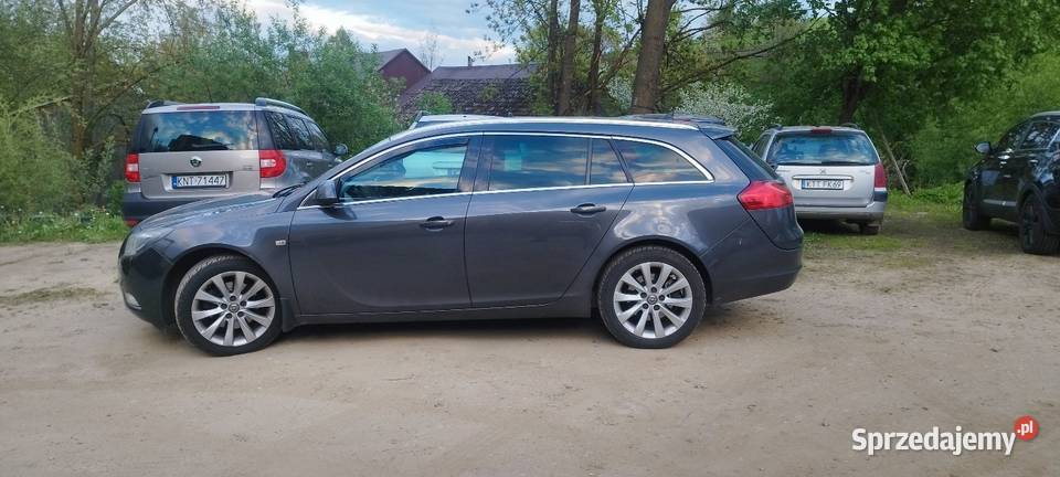 Sprzedam Opel Insignia Łopuszna