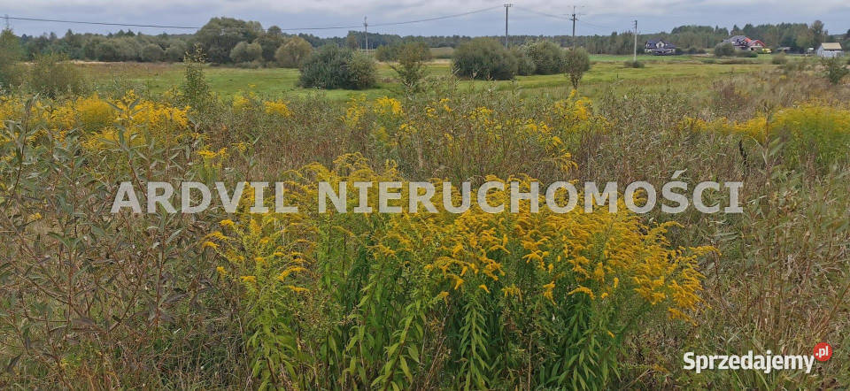 Grunt 7768m2 Brończany podlaskie