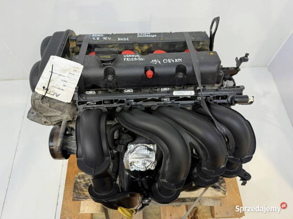 SILNIK Ford Focus II MK2 C C 16 16V 100 Silniki kompletne lubelskie Chełm