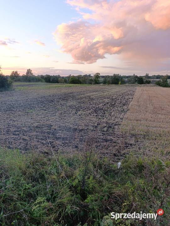 Działka Lesie 7 Uzdrowiska BuskoZdrój 30ar 60ar