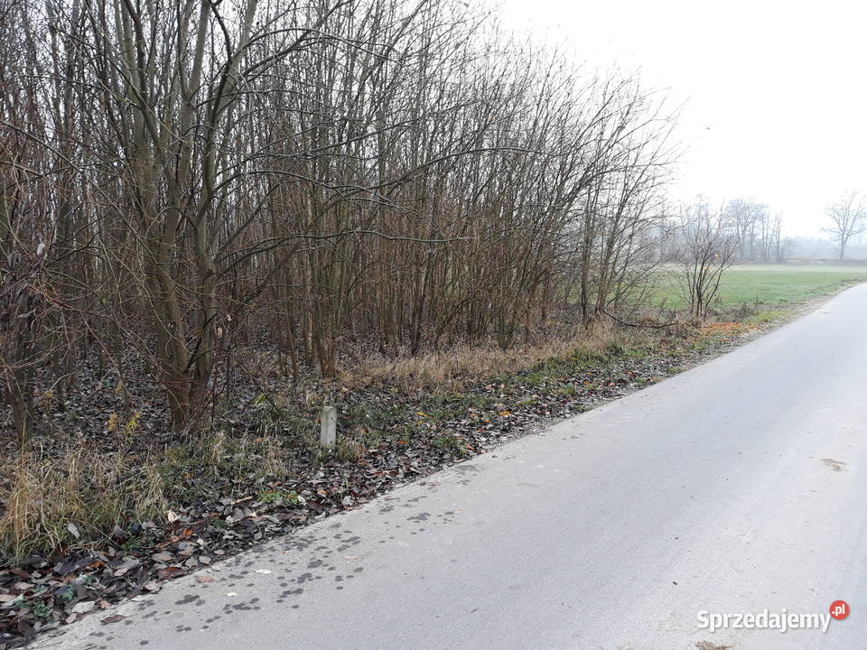Działka z WZ PKP ranczo ogród siedlisko 14zł/m2 Ponikiew Mała sprzedam