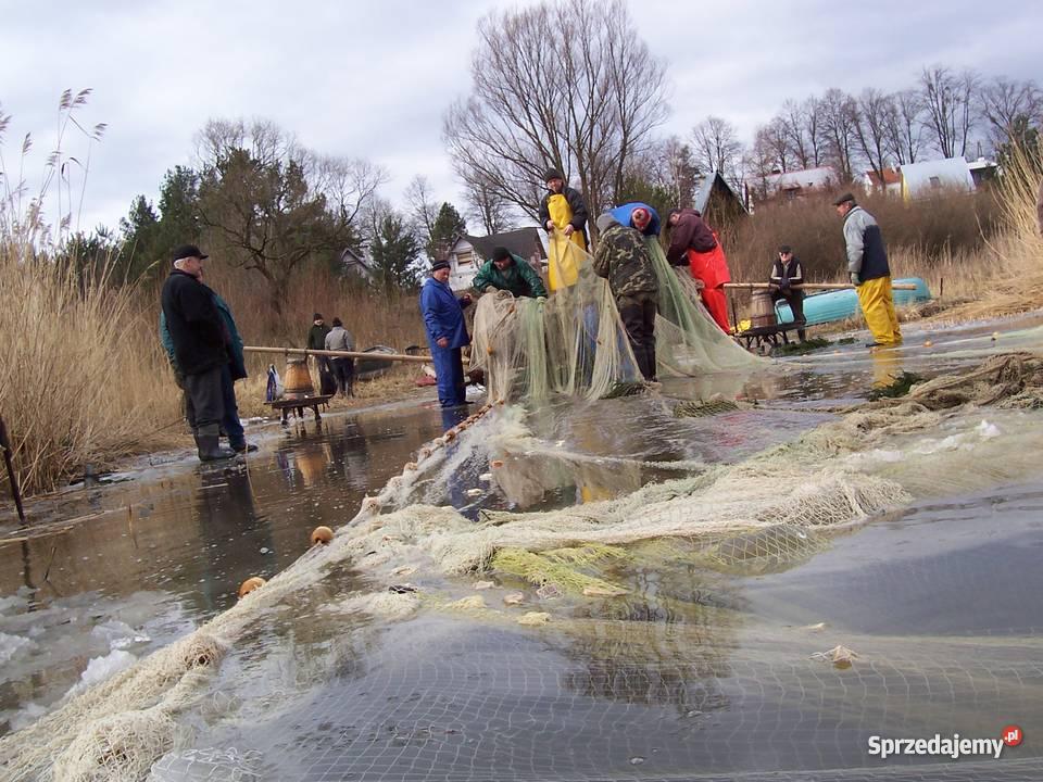 NIEWÓD RYBACKI Sztum