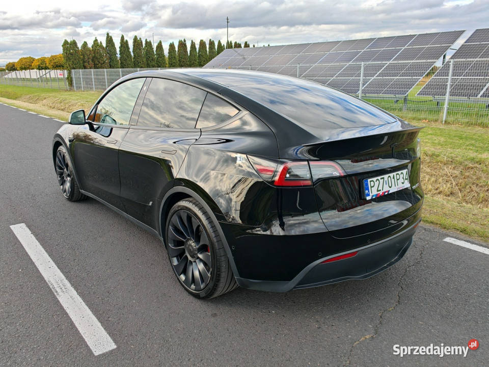 Tesla Y Performance AWD 534 wersja europejska z SUV Tesla wielkopolskie