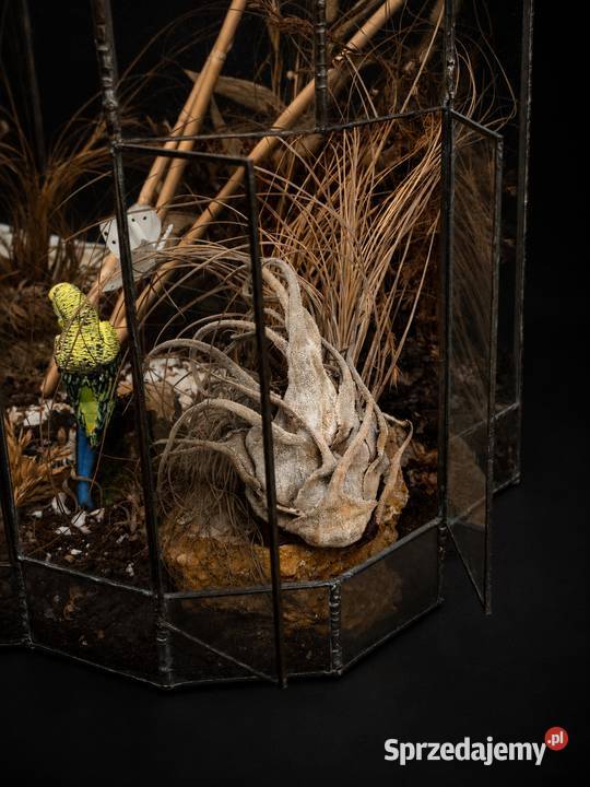 Unikatowe Terrarium w Stylu Tiffanyego Szklana Doniczki i osłonki Poddębice