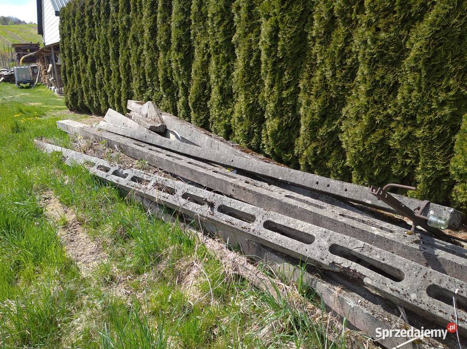 Słupy elektryczne używane na sprzedaż Teodorówka-Kolonia
