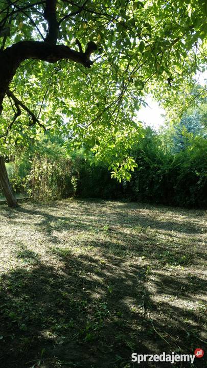 Działka ROD Warszawa Jedność 500 m2 na mazowieckie