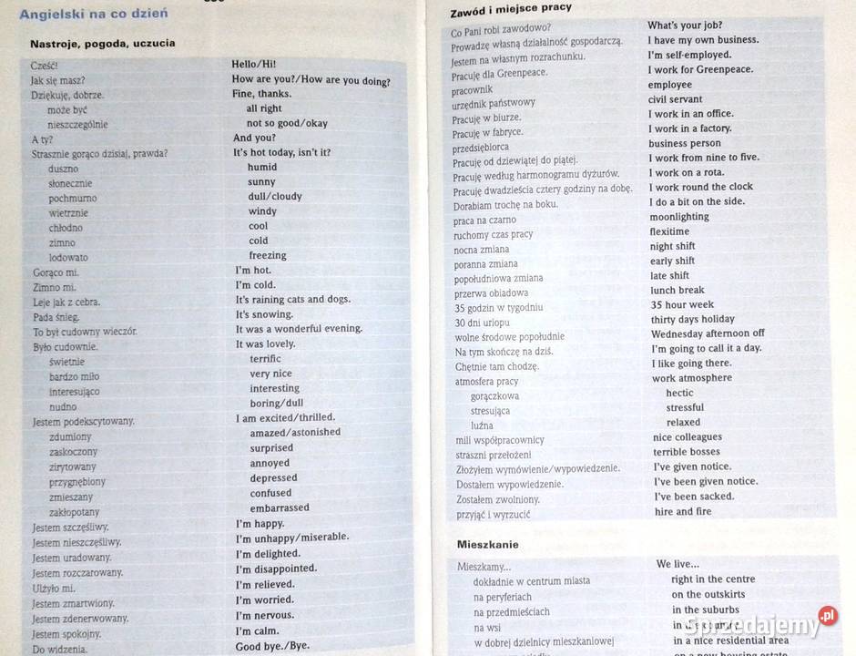 Pons Podręczny słownik angielskopolski Chełm