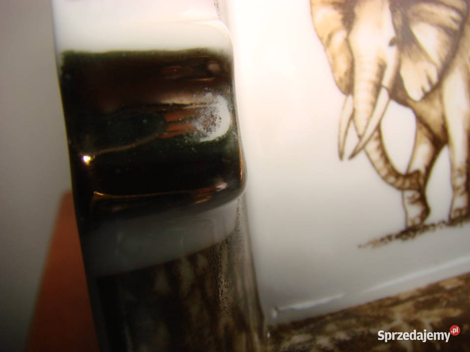 stara porcelanowa popielniczka ze słoniem Pruszcz Gdański