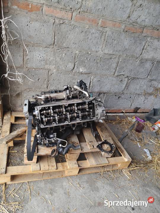 sprzedam silnik 16 tdi uszkodzony VW osobowe Zadąbrowie