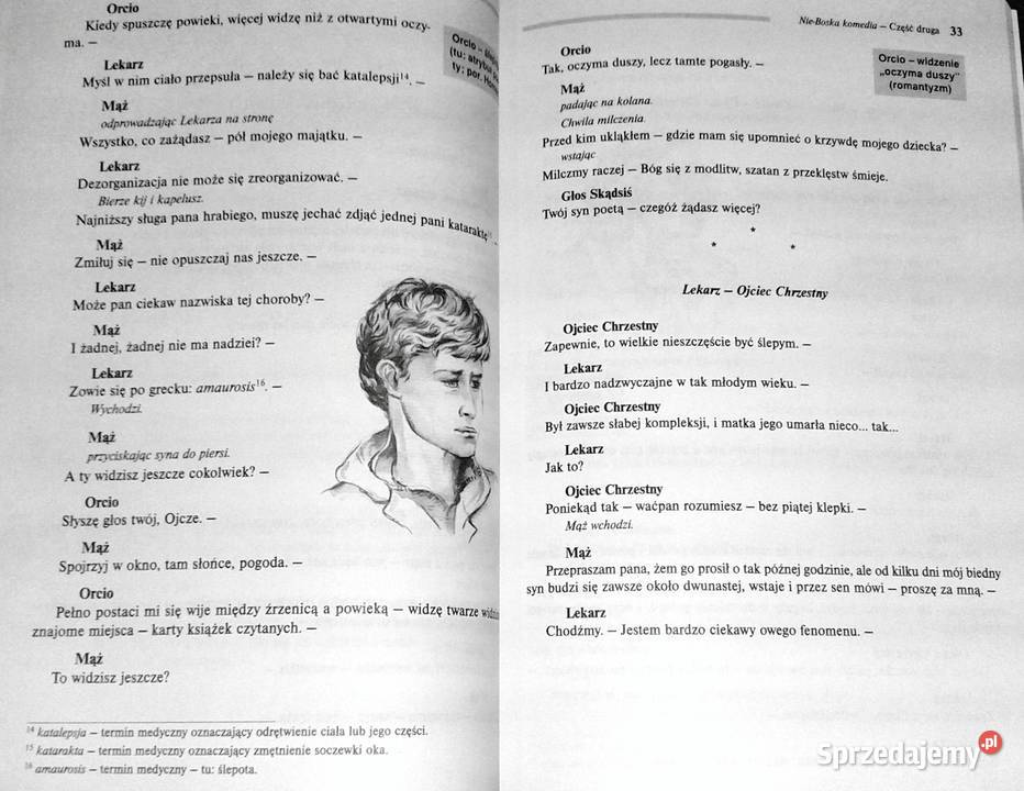 NieBoska komedia Lektura z opracowaniem Zygmunt miękka Chełm