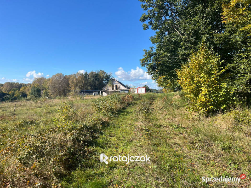 sprzedaży działki Zbychowo 8733m2