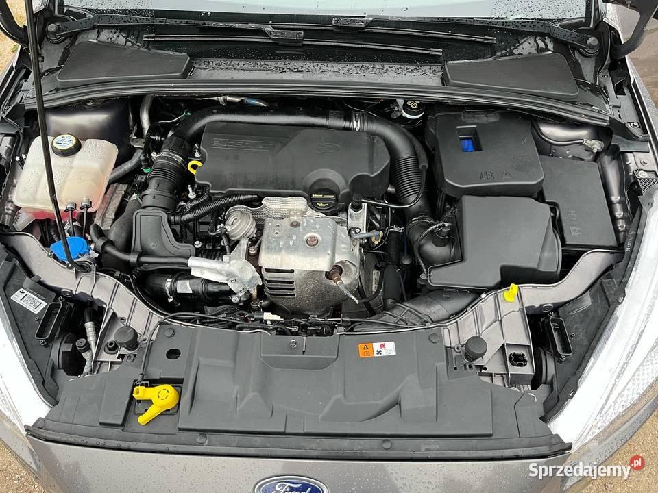 Ford focus MK3 Miechucino