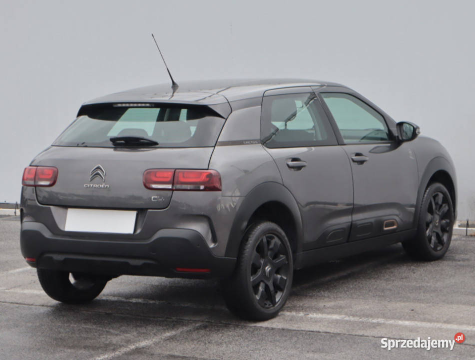 Citroen C4 Cactus 12 PureTech Lublin
