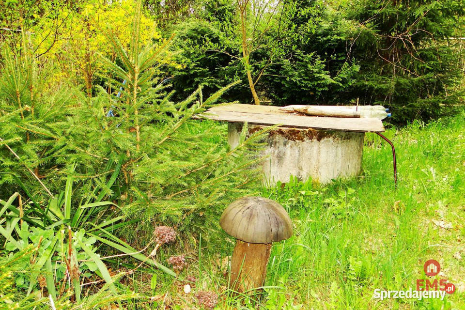 Grunt 8316m2 Rafałówka sprzedam